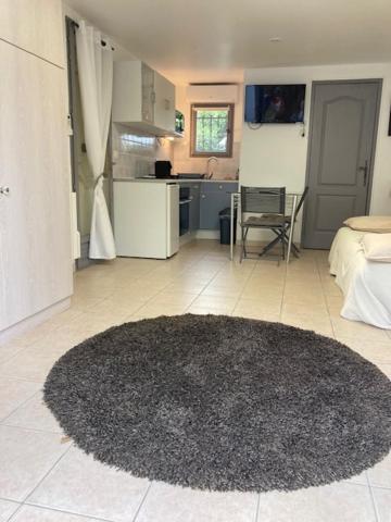 Studio Pied Dans L Eau La Londe-les-Maures Kültér fotó